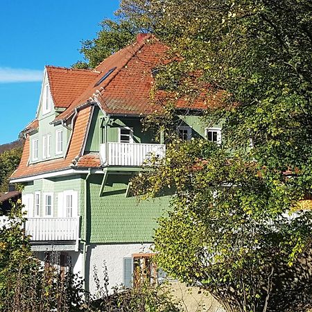 Appartement Waldheim Lindenfels Extérieur photo