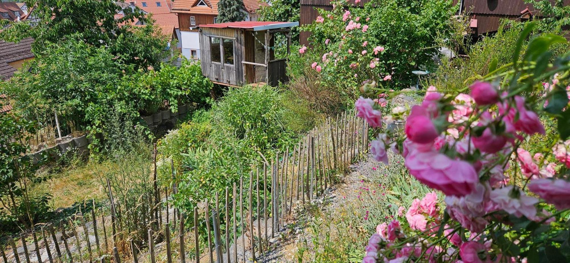 Appartement Waldheim Lindenfels Extérieur photo