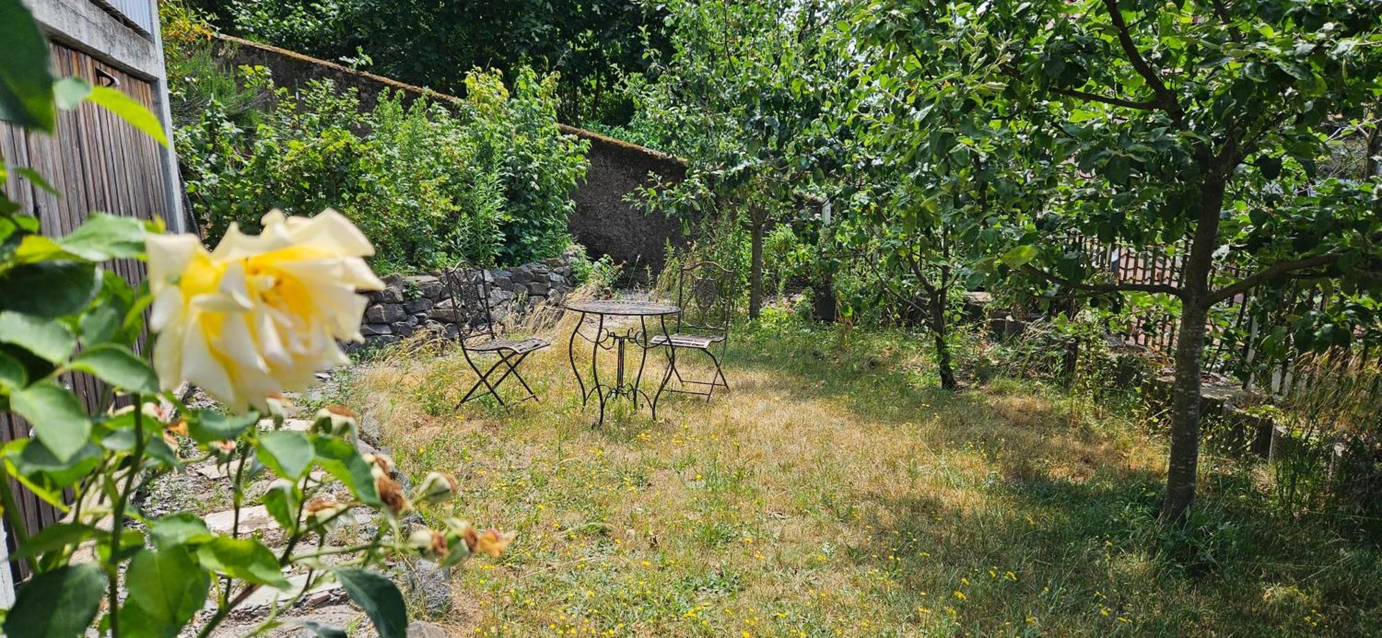 Appartement Waldheim Lindenfels Extérieur photo