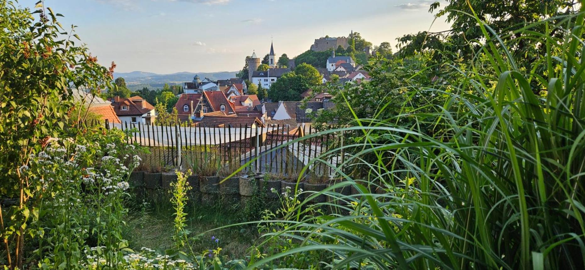 Appartement Waldheim Lindenfels Extérieur photo